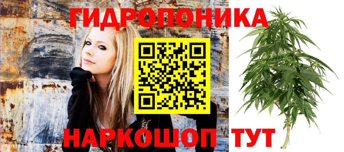 Канабис конопля  МАРИХУАНА Amnesia  Вход с VPN  Бошки марихуана THC 21%  Звенигород 